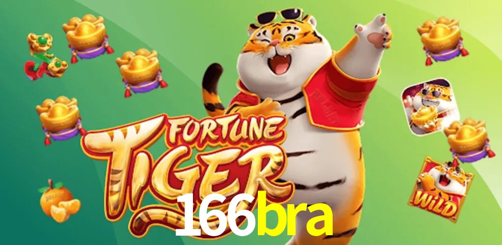 Experiência VIP 166bra
